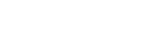 TranslateWise